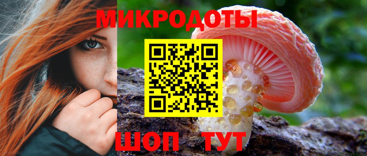 Галлюциногенные грибы GOLDEN TEACHER Заинск